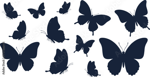 Butterfly silhouette illustration set, various sizes and wing shapes, scattered layout with measurement detail, nature and design concept, vector artwork