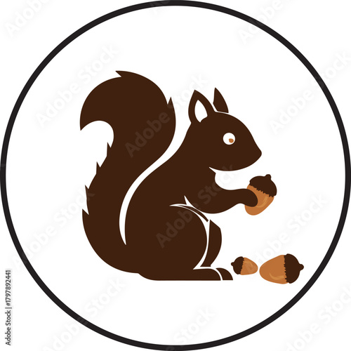 Brown squirrel holding acorn