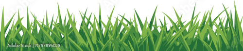 Realistic Dense Green Grass Blades, Perfect for Nature-Themed Graphic Designs and Backgrounds