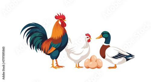 Farm animals including a rooster a hen and a duck with eggs on the farm.