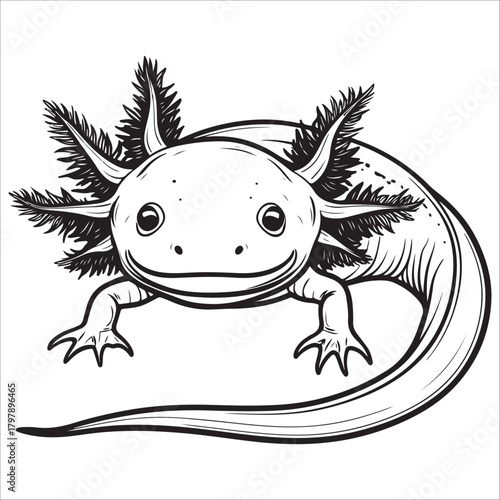 Stylized axolotl silhouette vector illustration, cute amphibian salamander icon art unique amphibian