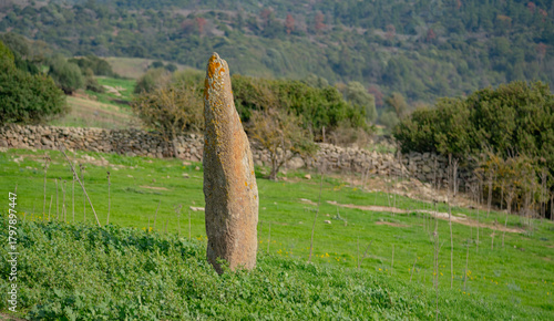 Foto Ancient Menhir Standing Stone in Rural Sardinia Asuni Landscape