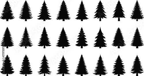 Evergreen tree silhouettes, black vector icons, coniferous shapes, forest design elements, nature graphics, botanical outlines, landscape assets, pine tree forms