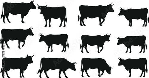 Cow silhouettes, black livestock icons, farm animal shapes, cattle graphics, rural design elements, nature illustrations, bovine outlines, agriculture assets