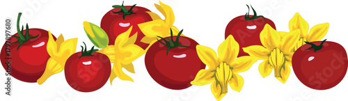  Ripe red tomato fruits and yellow flowers isolated on white background	