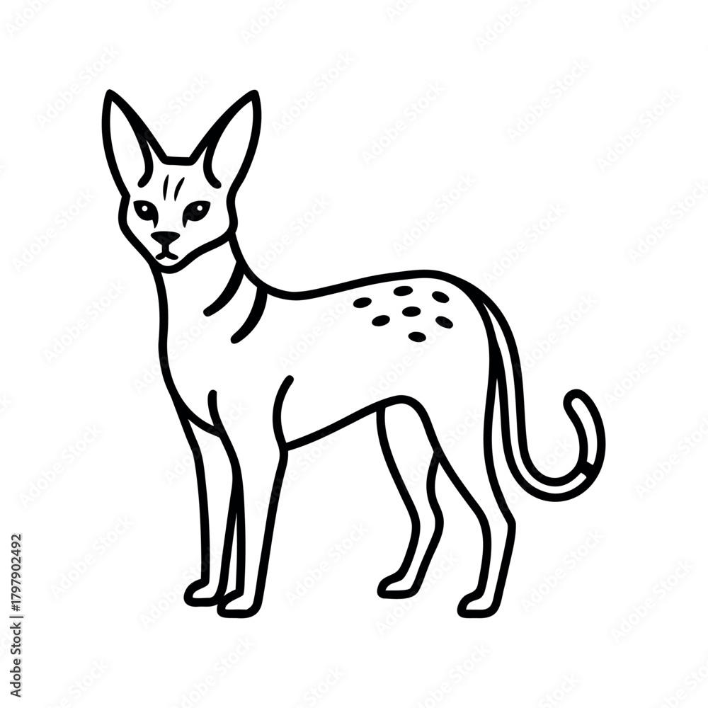 Obraz premium Serval Outline Line Art Vector Drawing