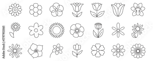 Elegant floral outline collection for creative projects, printable flower sketches offering natural beauty and design possibilities