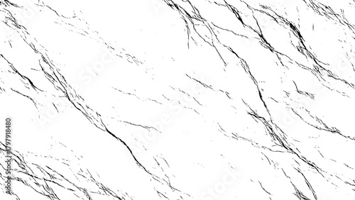 White marble texture with elegant black veins, natural stone surface pattern background isolated on transparent background, Vector, illustration.