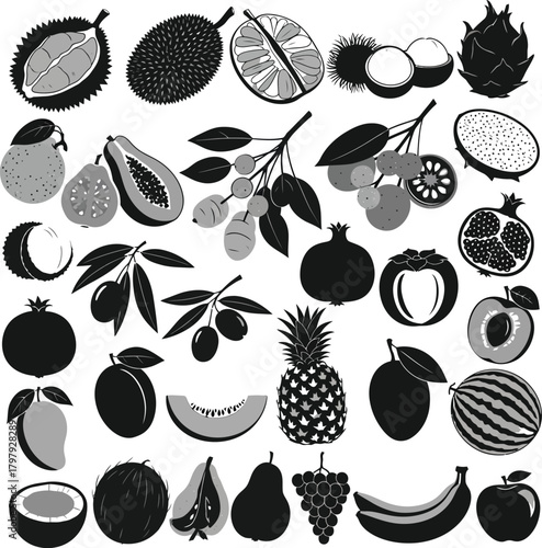Assortment of Exotic and Common Fruits in Black and White Silhouettes Keywords: durian, rambutan, lychee, mango, papaya, guava