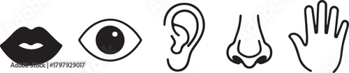 Simple outline illustrations of human sensory organs including lips eye ear nose and hand representing the five senses on white background