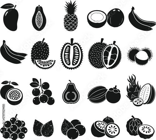 Assortment of Tropical and Exotic Fruit Silhouettes in a Grid Layout Keywords: mango, papaya, pineapple, coconut, banana, durian