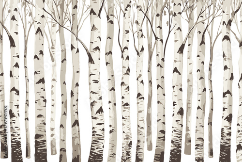 Birch trees texture vector illustration