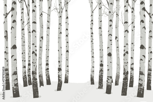 Birch trees texture vector illustration