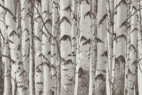 Birch trees texture vector illustration