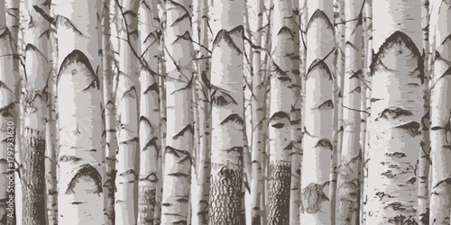 Birch trees texture vector illustration