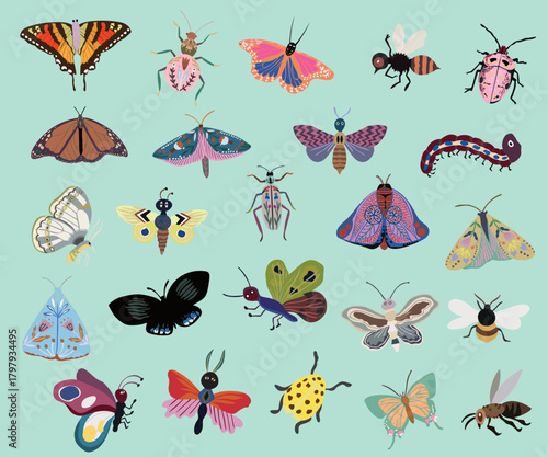 Insects species with different butterfly beetles bugs Honeybee ladybug flat vector illustrations