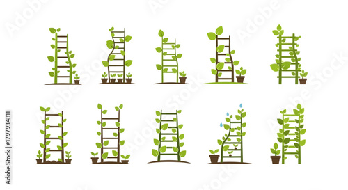 Green plants growing on trellises, natural growth vector icons