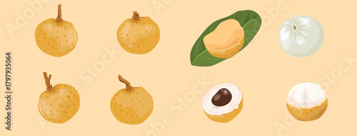Vector illustration, longan fruit with green leaves, isolated on a soft color background that is easy to change according to your needs.