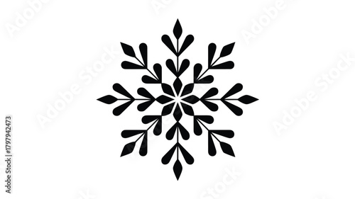 Elegant black snowflake silhouette with intricate geometric patterns representing winter s delicate beauty and frosty designs