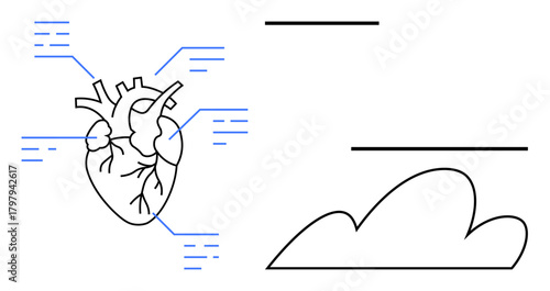 Detailed heart drawing with blue annotation lines, spaced text placeholders, and a cloud graphic. Ideal for anatomy, education, biology, health, science cardiovascular and medical topics. Perfect