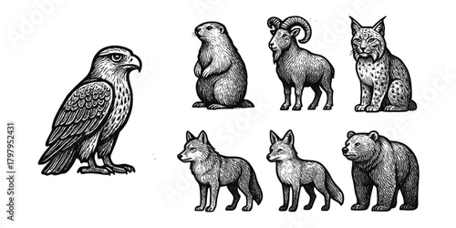 Vintage wildlife collection: detailed hand-drawn forest and mountain animals