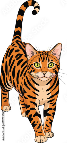 Walking Bengal Cat Vector Illustration, Detailed Feline Pet Animal Portrait.