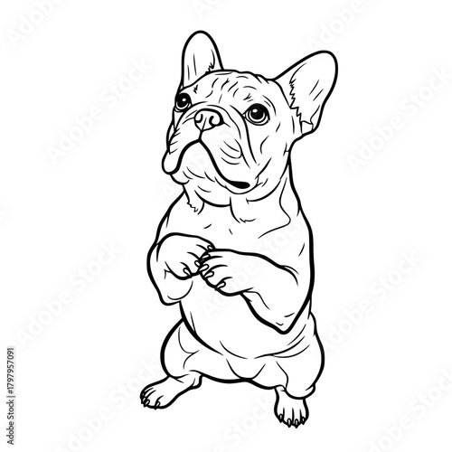 An adorable, stylized French Bulldog stands proudly, rendered in a striking black outline, creating a playful and elegant aesthetic.  vector illustration