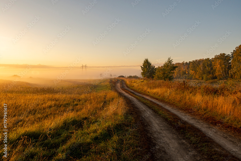 Fototapeta premium A picturesque view of a road through a field against the sky during sunrise. A landscape against the sky on a foggy morning.