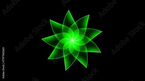 Radiant green gradient flower bloom animation on black background in elegant 4K motion video