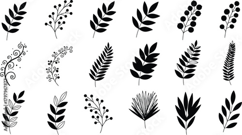Collection of hand drawn botanical elements and leafy branches in black silhouette on white background
