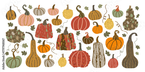 Set of pumpkins with leaves and stems. The pumpkins are of different sizes and color