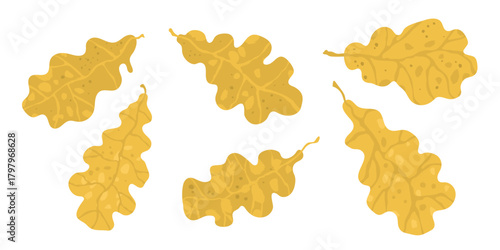 Set of yellow leaves are shown in various positions. Concept of autumn and the changing of the seasons