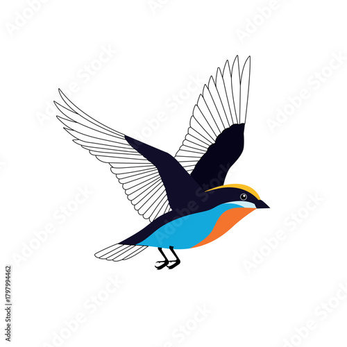 Vector illustration of a colorful bird in flight with open wings, with fill & stroke mixed