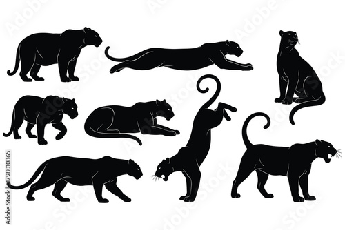 Black Panther Silhouettes in Various Poses