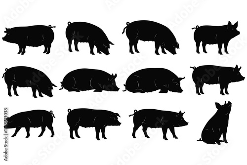Diverse Silhouettes of Pigs in Various Poses