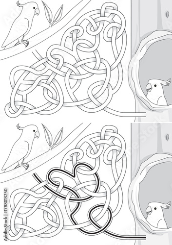 A vector illustration of a maze features a white cockatoo on a branch finding its way to another cockatoo in a tree hollow - maze for kids with a solution in black and white