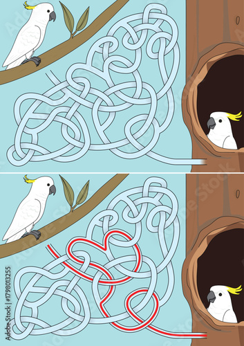 A vector illustration of a maze features a white cockatoo on a branch finding its way to another cockatoo in a tree hollow - maze for kids with a solution