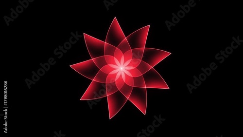 Radiant red gradient flower bloom animation on black background in elegant 4K motion video
