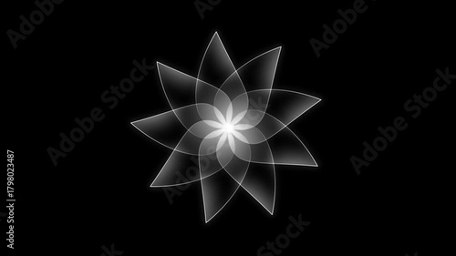 Radiant white gradient flower bloom animation on black background in elegant 4K motion video