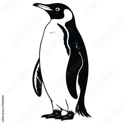 Emperor penguin standing upright