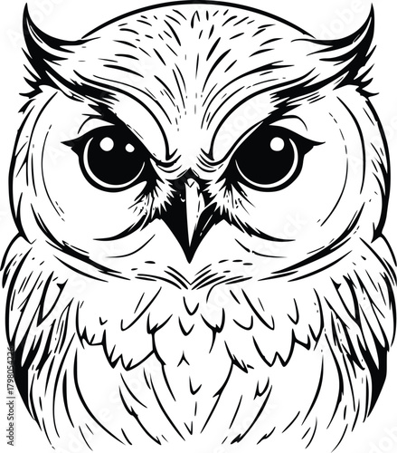 Owl Illustration Vector Graphic