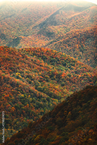Layers of autumn colors in the mountains