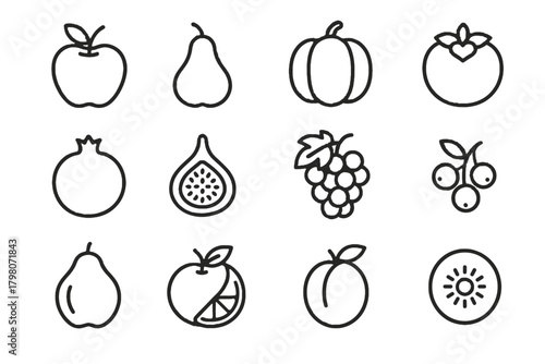 Fig fruit icon pumpkin seasonal pear orange pomegranate quince icons kiwi cranberry