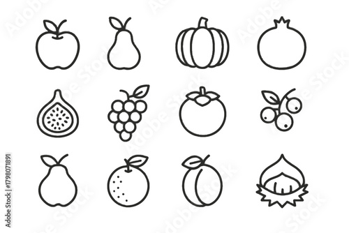 Cranberry pomegranate pear icons vector grape fruit autumn apple orange icon plum