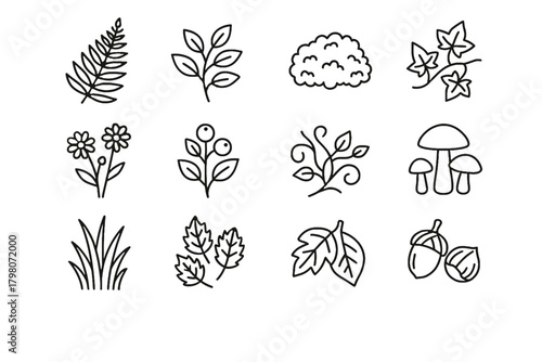 Forest berries acorns icons shrubs vector nuts autumn grasses ivy icon wildflowers