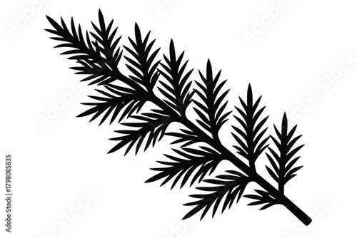 winter evergreen branch vector icon silhouette ill