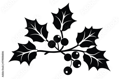 holly berries branch vector icon silhouette illust