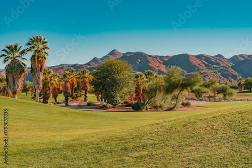  Palm Trees and trees fill a green belt making it look like an oasis in Palm Springs, California