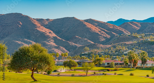 Houses climb the mountain side in front of  a green belt in Palm Springs, California