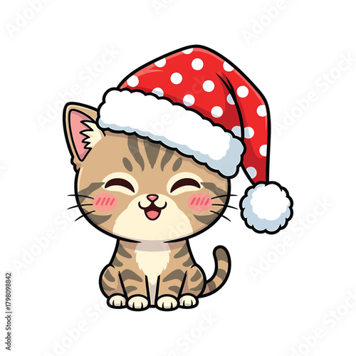 Adorable kitten with santa hat 